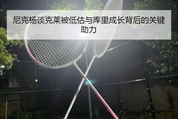 尼克杨谈克莱被低估与库里成长背后的关键助力